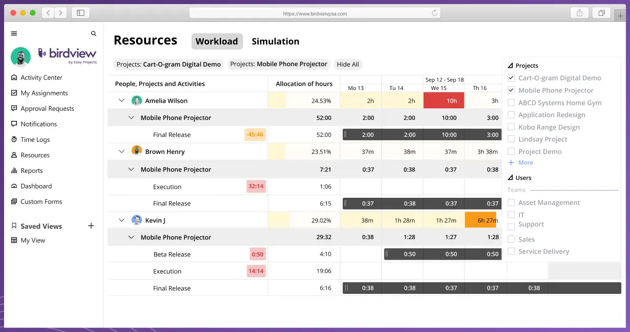 Birdview workload management charts make it one of the best resource management software
